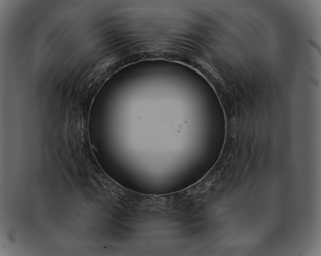 X0000091851111200709261202