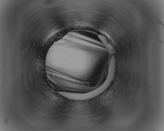 X0000091851112200709261202