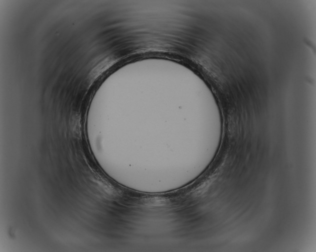 X0000091851113200709261202