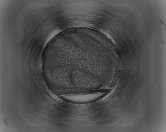 X0000091851114200709261202