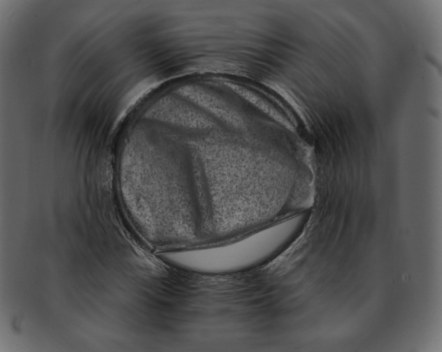 X0000091851115200709261202