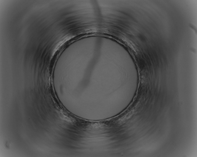 X0000091851117200709261202