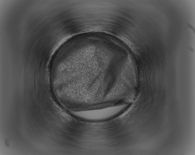 X0000091851118200709261202