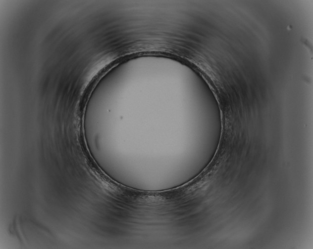 X0000091851119200709261202