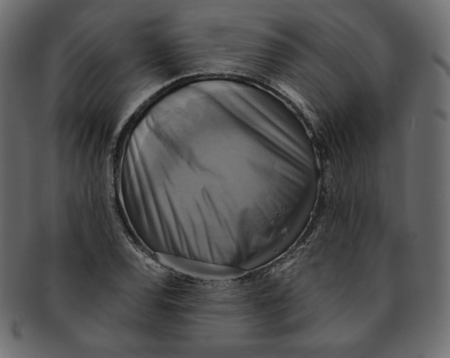 X0000091851120200709261202