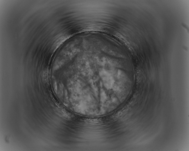 X0000091851121200709261202