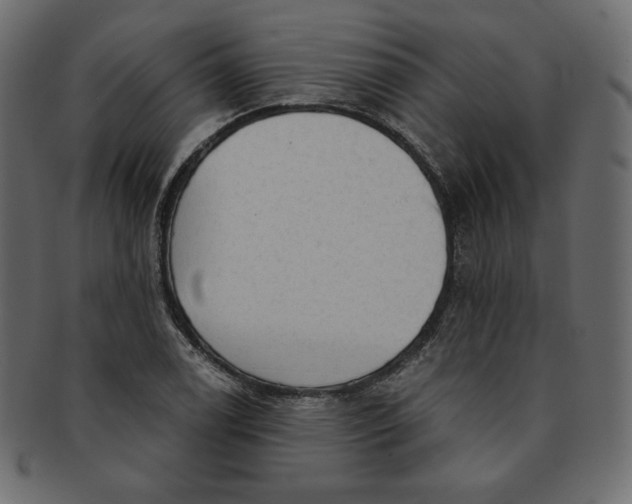 X0000091851122200709261202