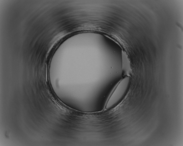 X0000091851123200709261202