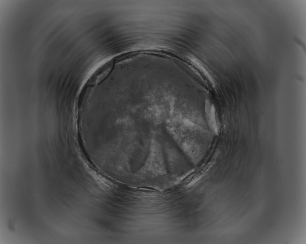 X0000091851124200709261202