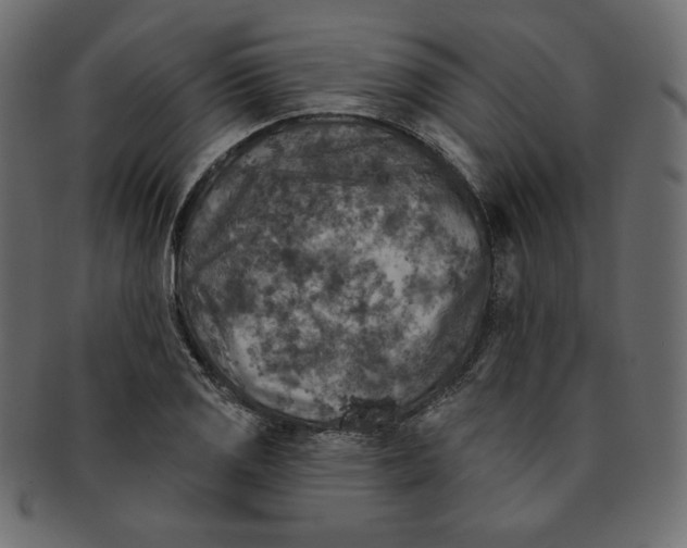 X0000091851125200709261202