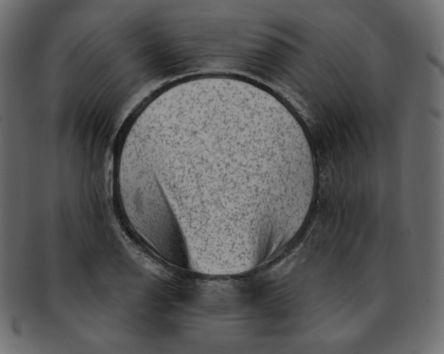 X0000091851126200709261202