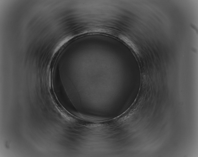 X0000091851127200709261202