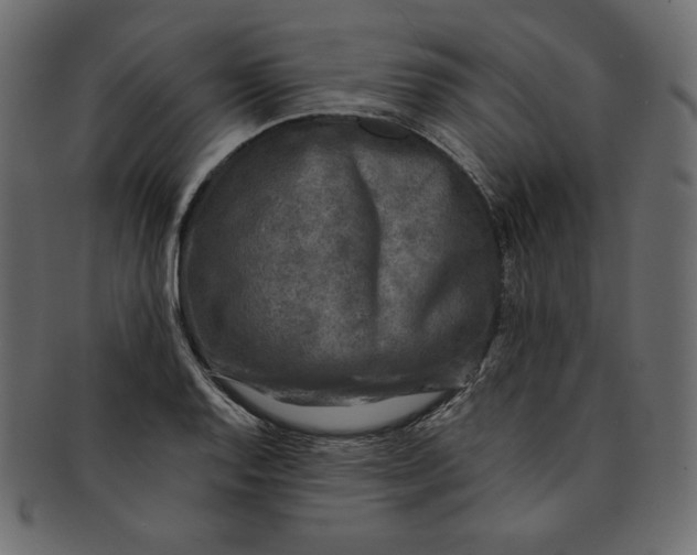 X0000091851128200709261202