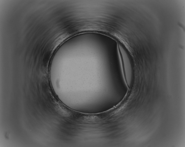 X0000091851129200709261202