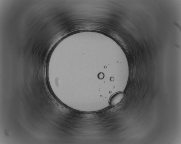 X0000091851130200709261202