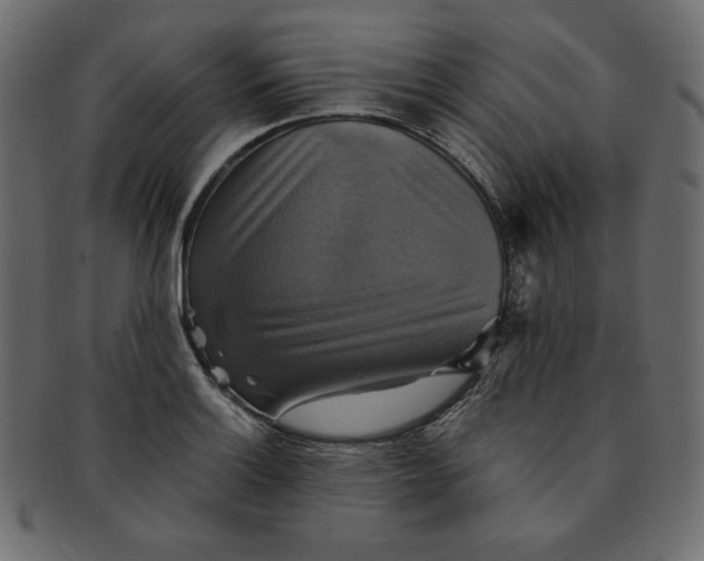 X0000091851132200709261202