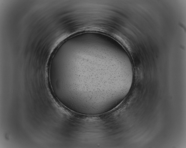 X0000091851133200709261202