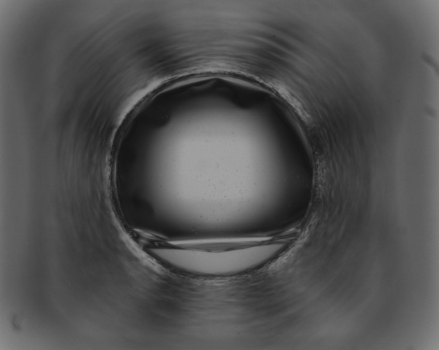 X0000091851134200709261202