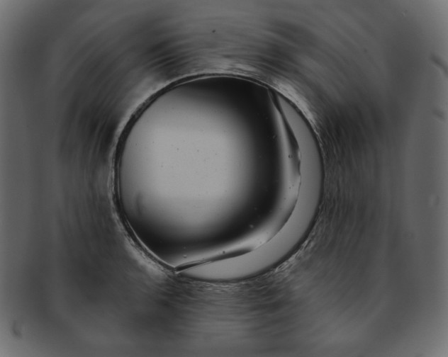 X0000091851136200709261202