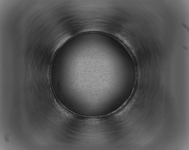 X0000091851137200709261202