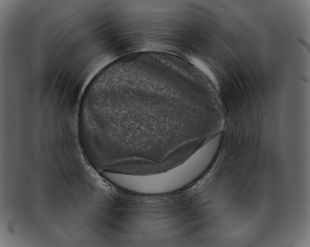 X0000091851138200709261202