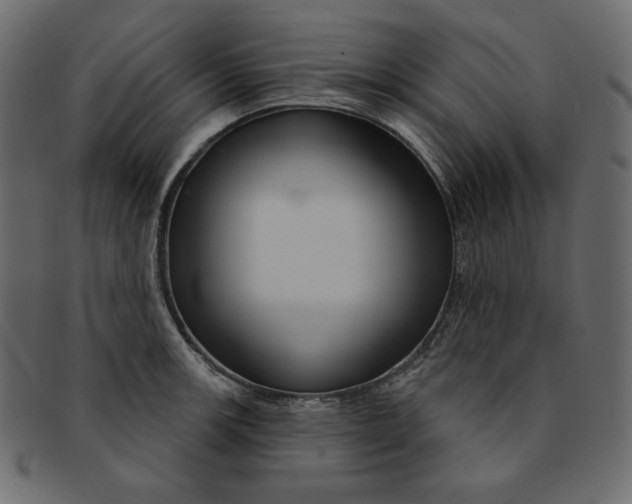 X0000091851139200709261202