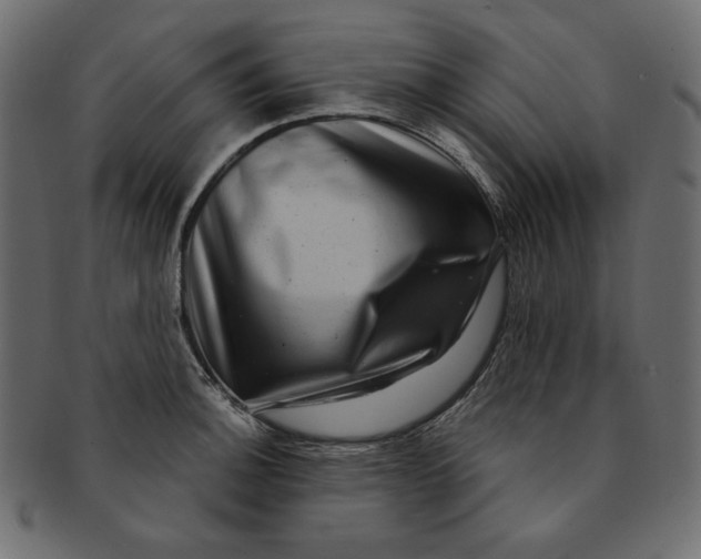 X0000091851140200709261202