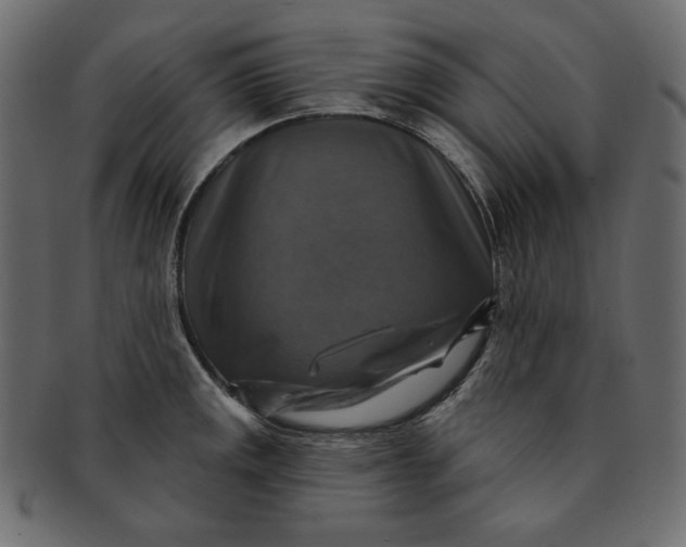 X0000091851141200709261202