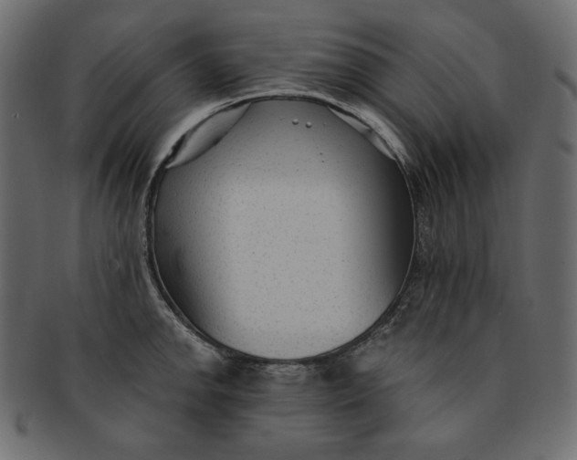 X0000091851142200709261202