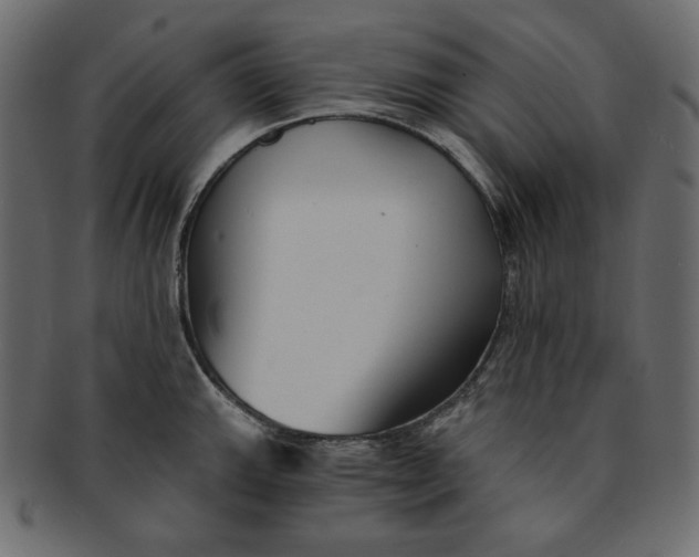 X0000091851143200709261202