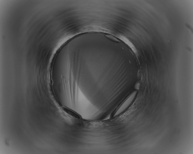 X0000091851144200709261202