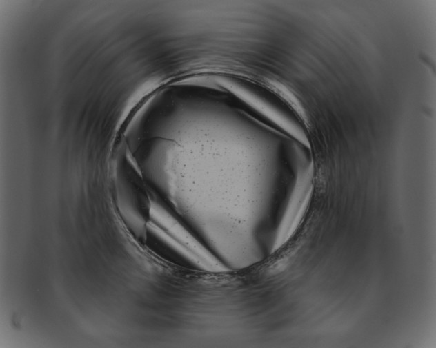 X0000091851146200709261202