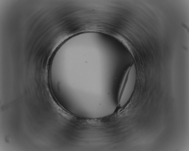 X0000091851147200709261202