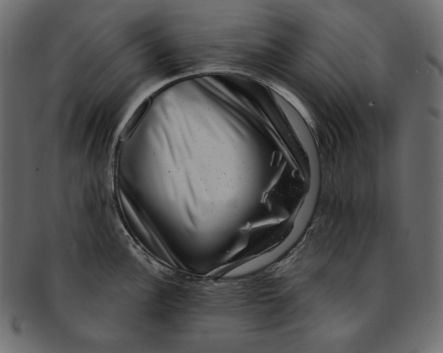 X0000091851148200709261202