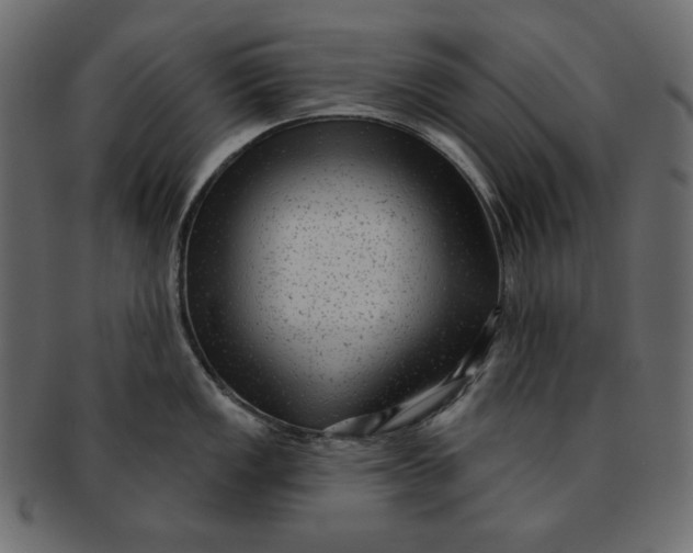 X0000091851149200709261202