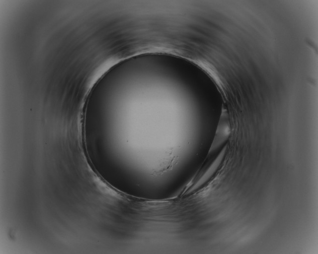 X0000091851151200709261202