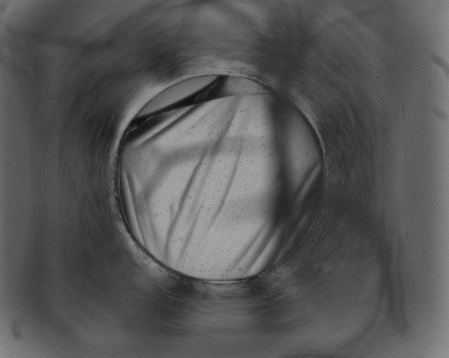 X0000091851152200709261202