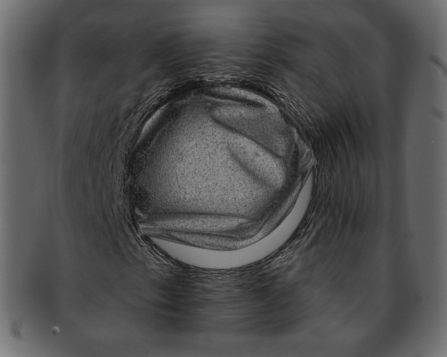 X0000091851153200709261201