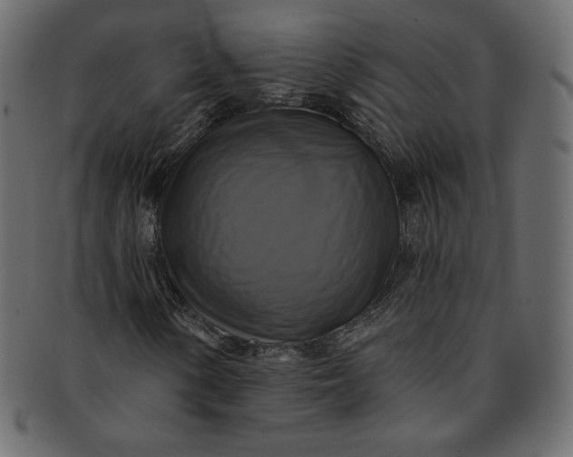 X0000091851154200709261201