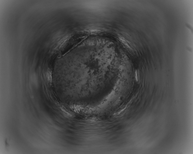 X0000091851155200709261201