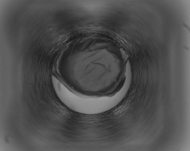 X0000091851156200709261201