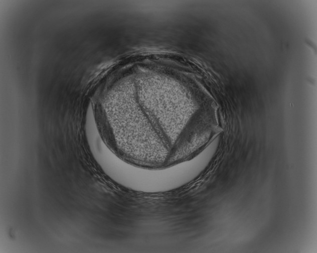 X0000091851157200709261201