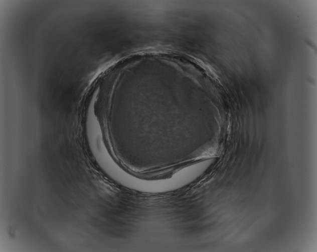 X0000091851160200709261201