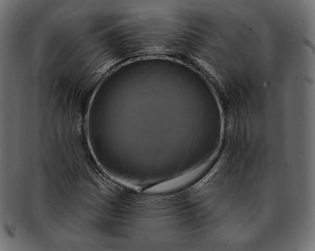 X0000091851161200709261201