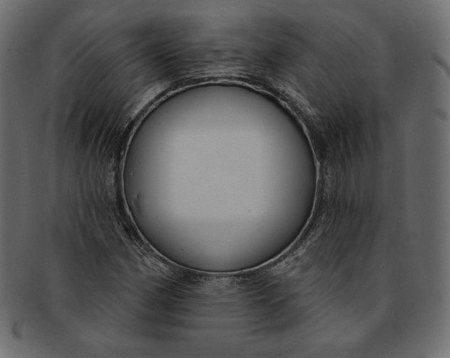 X0000091851162200709261201