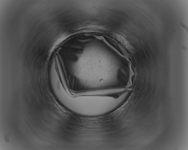 X0000091851164200709261201