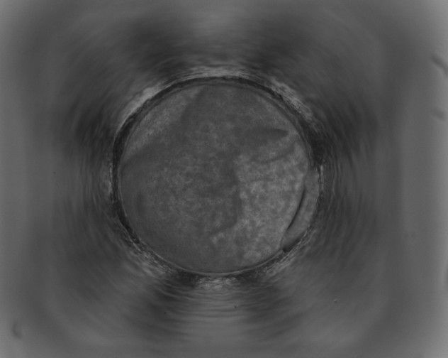 X0000091851165200709261201