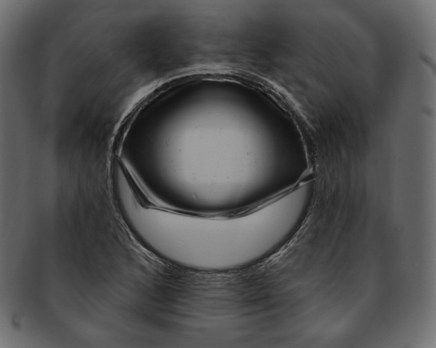 X0000091851168200709261201