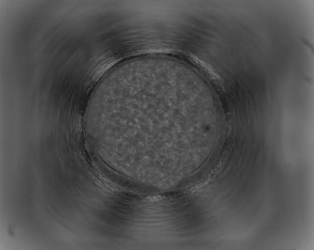 X0000091851169200709261201