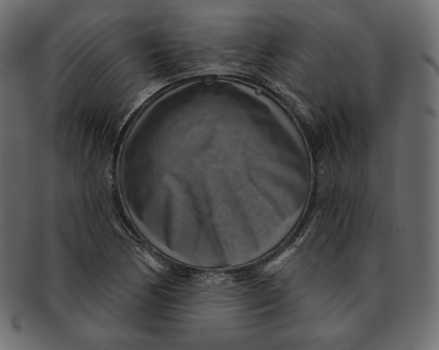 X0000091851170200709261201